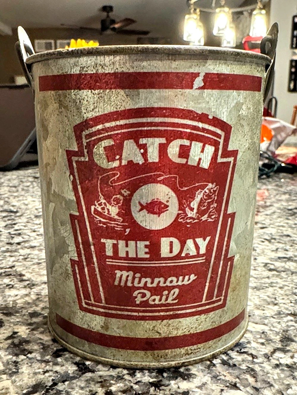 Vintage “Catch The Day” Metal Decor Bucket